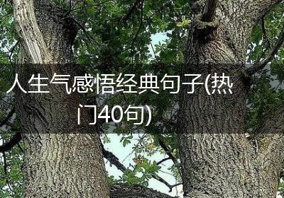 人生气感悟经典句子(热门40句)