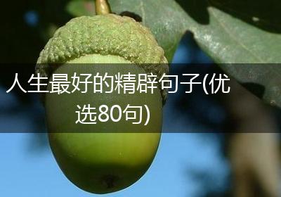 人生最好的精辟句子(优选80句)
