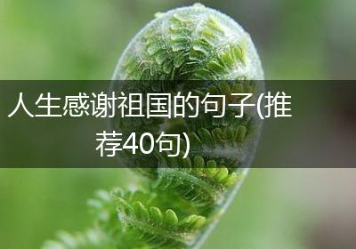 人生感谢祖国的句子(推荐40句)
