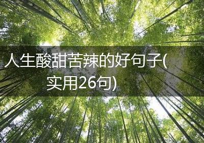 人生酸甜苦辣的好句子(实用26句)