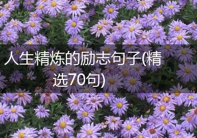 人生精炼的励志句子(精选70句)