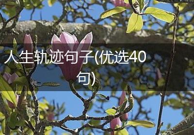 人生轨迹句子(优选40句)