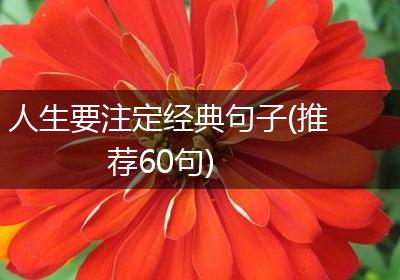 人生要注定经典句子(推荐60句)