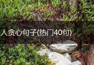 人贪心句子(热门40句)