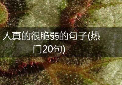 人真的很脆弱的句子(热门20句)