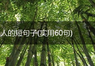 人的短句子(实用60句)