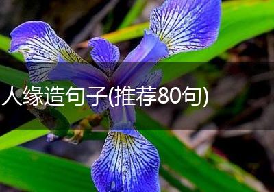 人缘造句子(推荐80句)