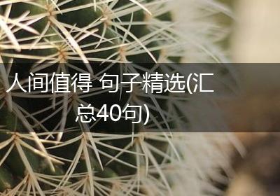 人间值得 句子精选(汇总40句)