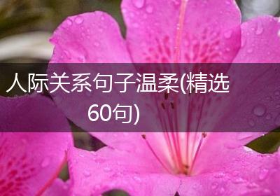 人际关系句子温柔(精选60句)