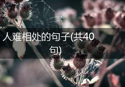 人难相处的句子(共40句)