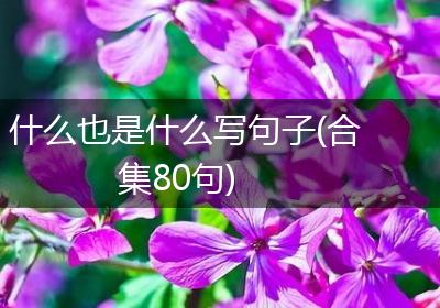 什么也是什么写句子(合集80句)
