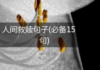 人间救赎句子(必备15句)