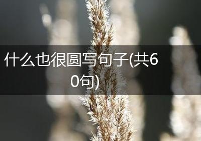 什么也很圆写句子(共60句)