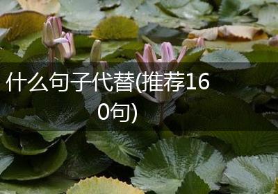 什么句子代替(推荐160句)