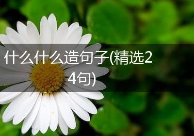什么什么造句子(精选24句)