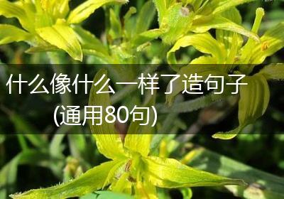 什么像什么一样了造句子(通用80句)