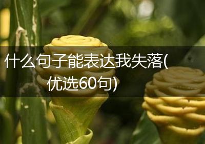 什么句子能表达我失落(优选60句)