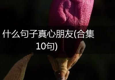什么句子真心朋友(合集10句)