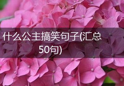 什么公主搞笑句子(汇总50句)