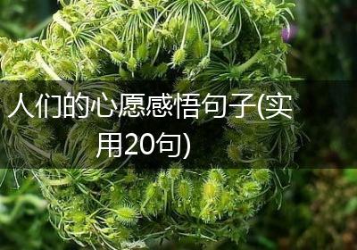 人们的心愿感悟句子(实用20句)