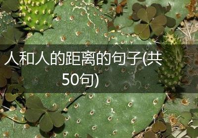 人和人的距离的句子(共50句)