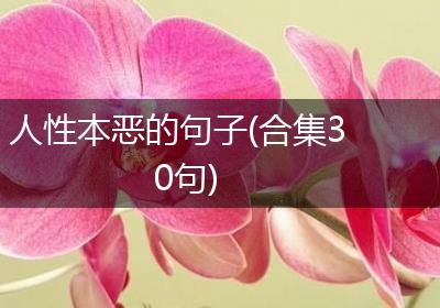 人性本恶的句子(合集30句)