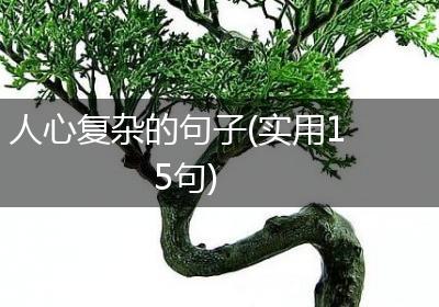 人心复杂的句子(实用15句)