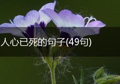 人心已死的句子(49句)