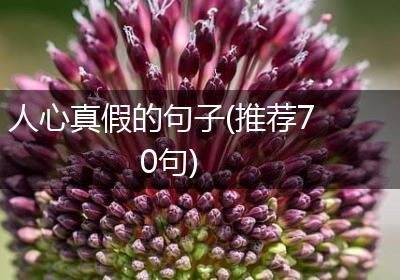 人心真假的句子(推荐70句)