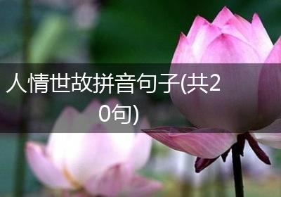 人情世故拼音句子(共20句)