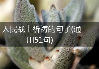 人民战士祈祷的句子(通用51句)