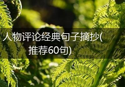 人物评论经典句子摘抄(推荐60句)