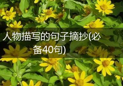 人物描写的句子摘抄(必备40句)