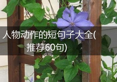 人物动作的短句子大全(推荐60句)