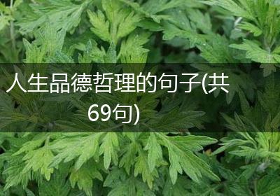 人生品德哲理的句子(共69句)