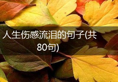 人生伤感流泪的句子(共80句)