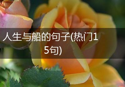 人生与船的句子(热门15句)