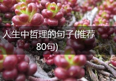 人生中哲理的句子(推荐80句)