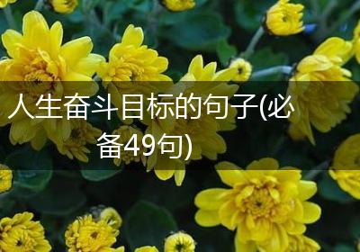 人生奋斗目标的句子(必备49句)