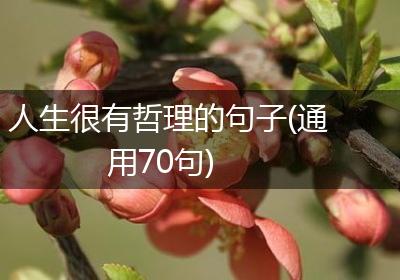 人生很有哲理的句子(通用70句)