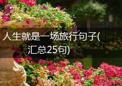 人生就是一场旅行句子(汇总25句)