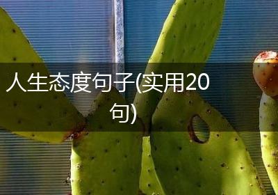 人生态度句子(实用20句)