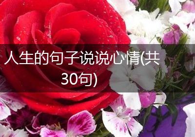 人生的句子说说心情(共30句)