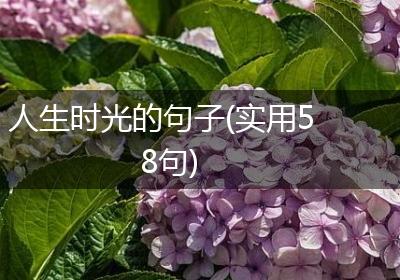 人生时光的句子(实用58句)