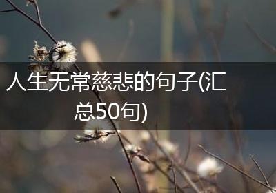 人生无常慈悲的句子(汇总50句)