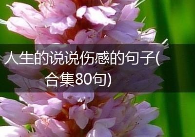 人生的说说伤感的句子(合集80句)