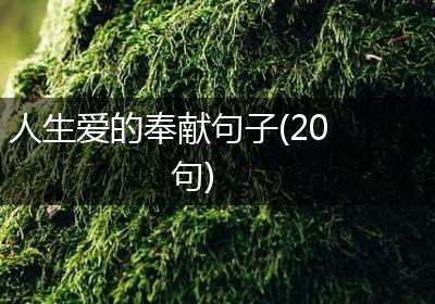人生爱的奉献句子(20句)