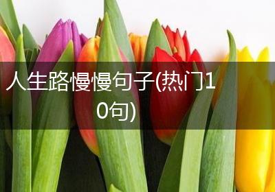 人生路慢慢句子(热门10句)
