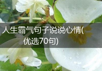人生霸气句子说说心情(优选70句)
