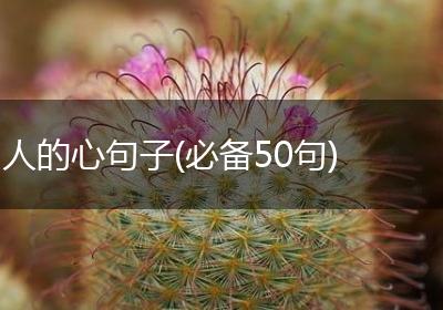人的心句子(必备50句)